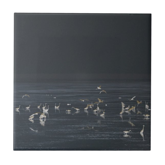 Egrets On The Midnight Blue Ocean Tile (Front)