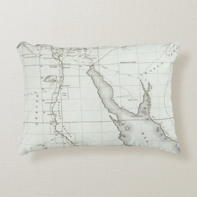 Egyopt and Palestine Accent Pillow (Front)