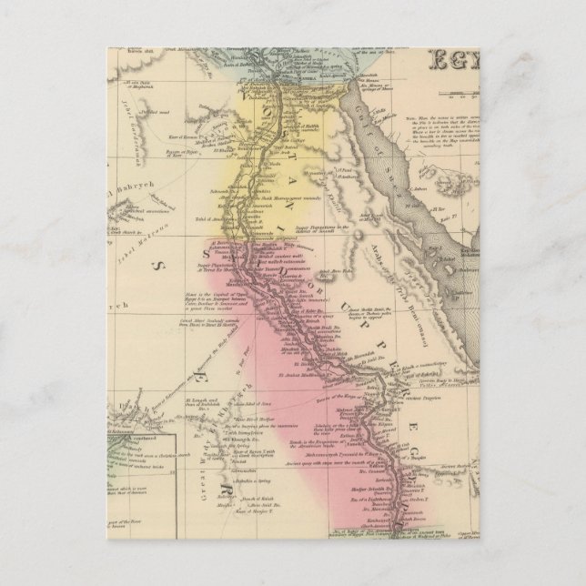 Egypt 5 postcard (Front)