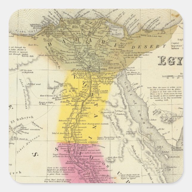 Egypt 6 square sticker (Front)