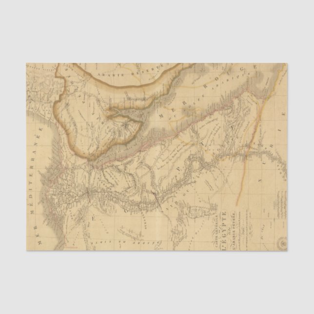 Egypt 7 tissue paper (Front)