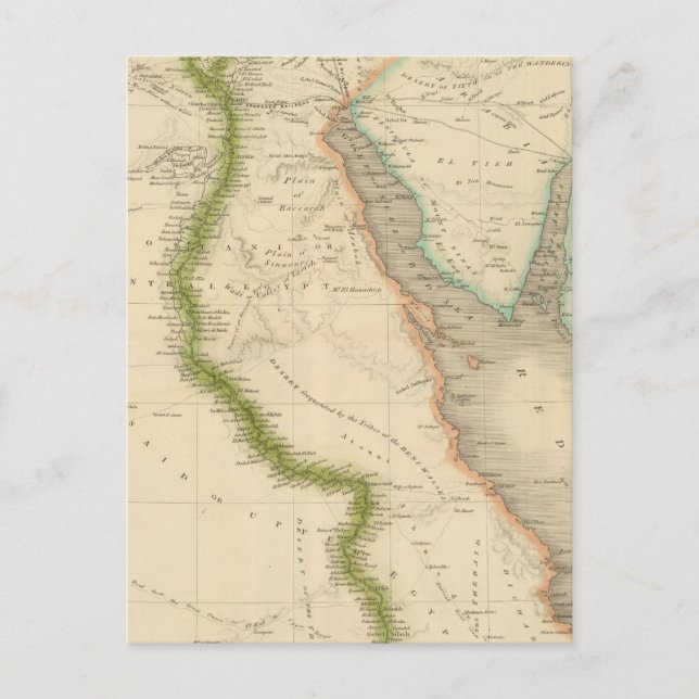 Egypt 8 postcard (Front)