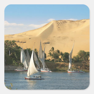Egypt, Aswan, Nile River, Felucca sailboats, 2 Square Sticker