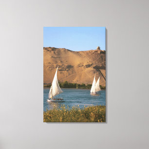 Egypt, Aswan, Nile River, Felucca sailboats, Canvas Print