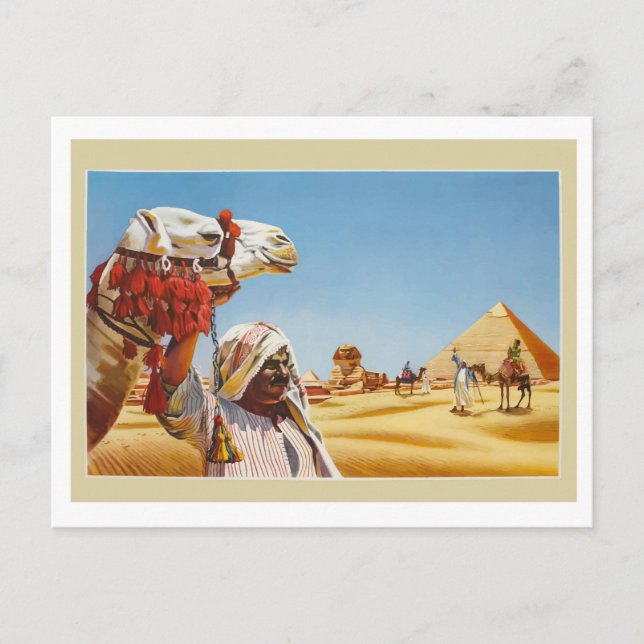 Egypt, badouin with his camel in front of pyramids postcard (Front)
