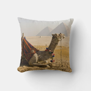 Egypt, Cairo. A lone camel Throw Pillow