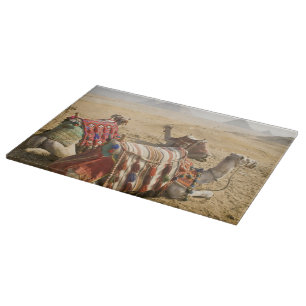 Egypt, Cairo. Resting camels Cutting Board
