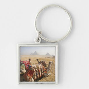 Egypt, Cairo. Resting camels Keychain