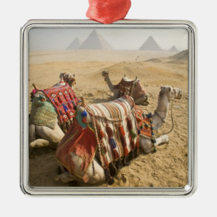 Egypt, Cairo. Resting camels Metal Ornament
