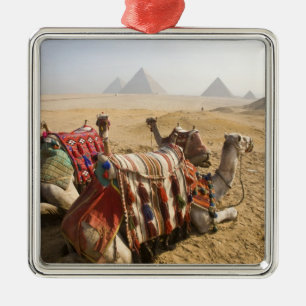 Egypt, Cairo. Resting camels Metal Ornament