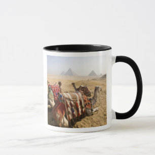 Egypt, Cairo. Resting camels Mug