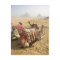 Egypt, Cairo. Resting camels