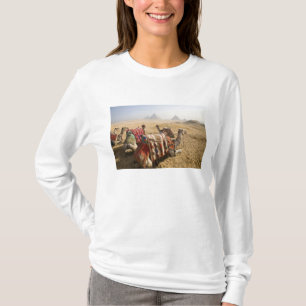 Egypt, Cairo. Resting camels T-Shirt