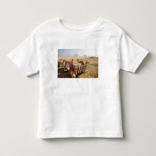 Egypt, Cairo. Resting camels Toddler T-shirt