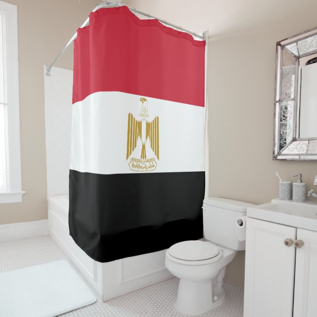 Egypt flag (In Situ)