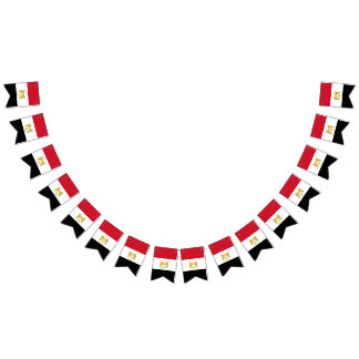 Egypt flag bunting banner