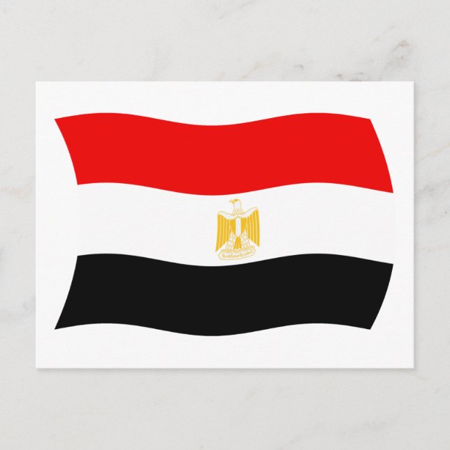 Egypt Flag Postcard (Front)