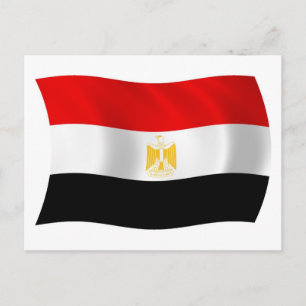 Egypt Flag Postcard