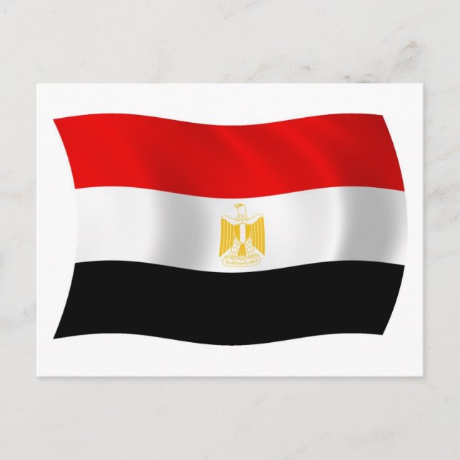 Egypt Flag Postcard (Front)