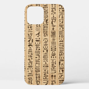 Egypt hieroglyphs, grunge seamless pattern iPhone 12 case