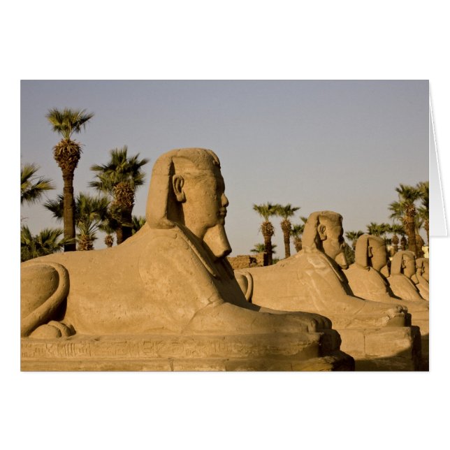 Egypt, Luxor. The Avenue of Sphinxes leads to (Front Horizontal)