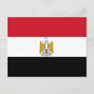 egypt postcard