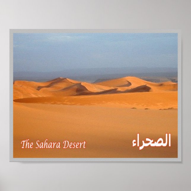 Egypt - Red Sea - Sahara desert - Poster (Front)