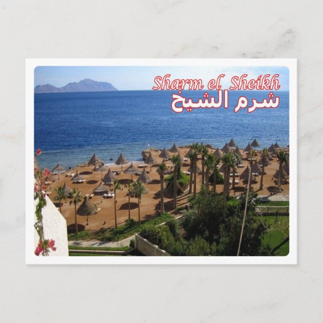Egypt - Red Sea - Sharm el Sheikh - Postcard (Front)