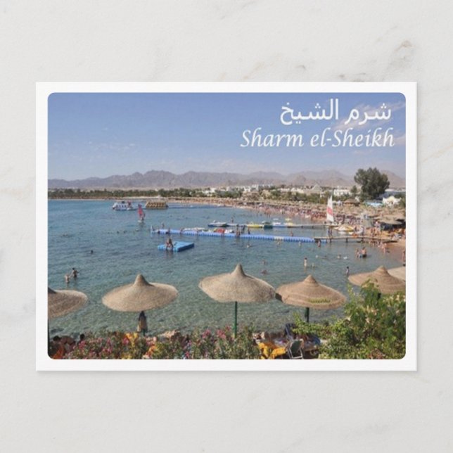 Egypt - Sharm el Sheikh - Postcard (Front)