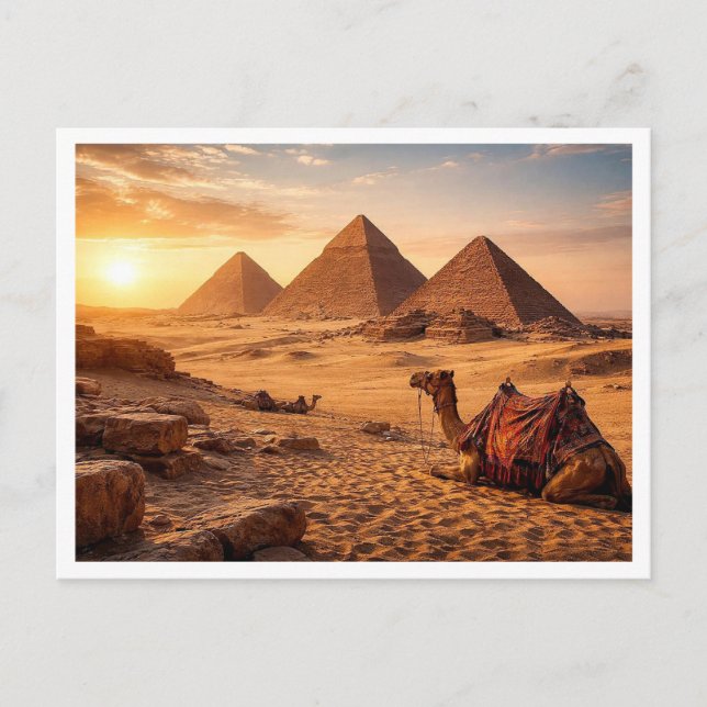 Égypte. Complexe pyramidal de Gizeh. Carte postale (Devant)