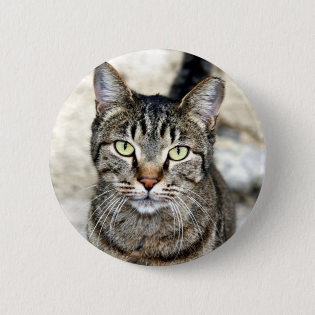 Egyptian Cat 2 Inch Round Button (Front)