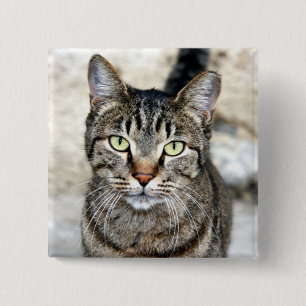 Egyptian Cat 2 Inch Square Button