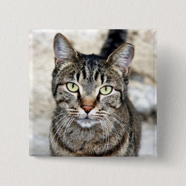 Egyptian Cat 2 Inch Square Button (Front)