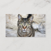 Egyptian Cat Business Card (Back)
