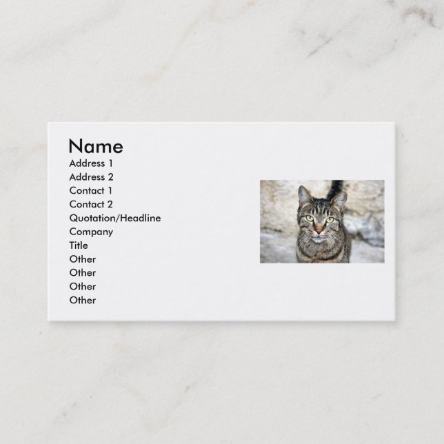 Egyptian Cat Business Card (Front)