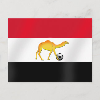 Egyptian desert camel soccer ball flag postcard