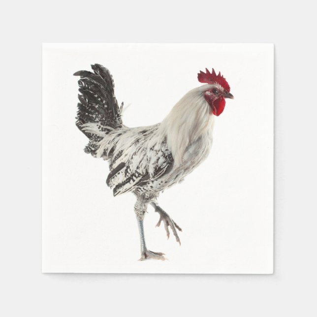 Egyptian Fayoumis Rooster Napkin (Front)