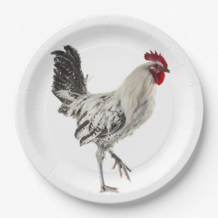 Egyptian Fayoumis Rooster Paper Plate