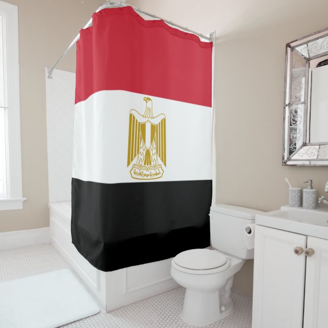 Egyptian flag (In Situ)