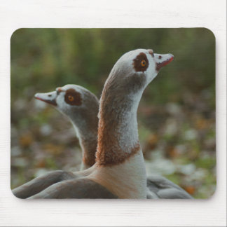 Egyptian geese Mousepad