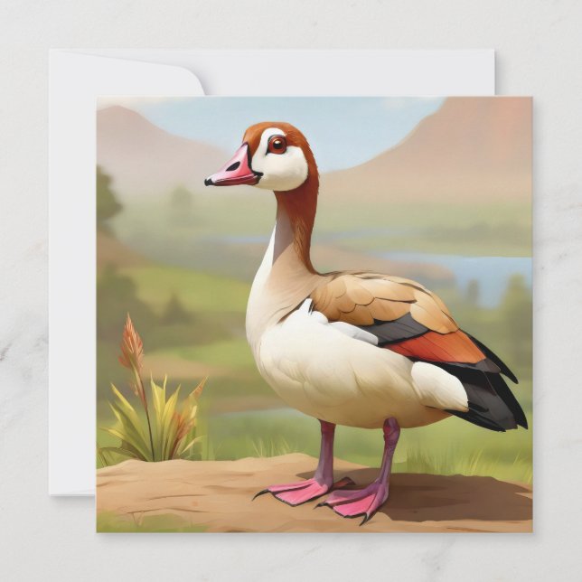 Egyptian Goose by water Invitation (Front)
