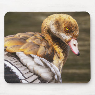 Egyptian Goose Close-Up Wildlife Bird Nature Art Mouse Pad