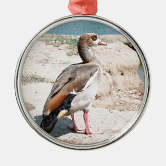 Egyptian Goose Metal Ornament