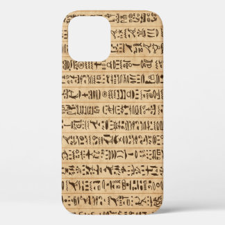 Egyptian Hieroglyphs: Grunge Seamless Magic iPhone 12 Case