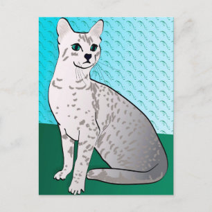 Egyptian Mau Cat - aqua background Postcard