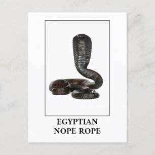Egyptian Nope Rope - Cobra Snake Danger Postcard