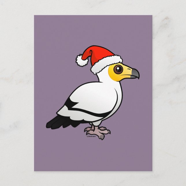 Egyptian Vulture Santa Holiday Postcard (Front)