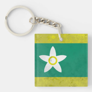 Ehime prefecture  keychain