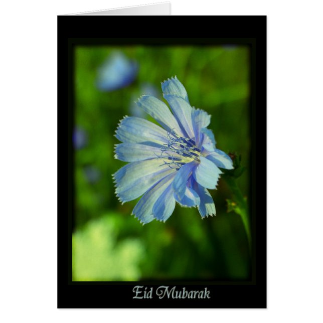 Eid Mubarak - happy Ramadan (Front)