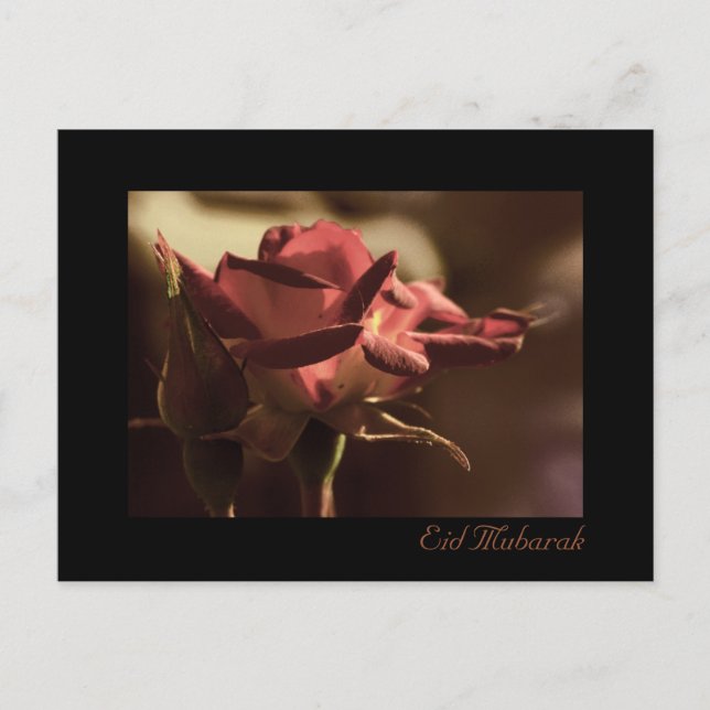 Eid Mubarak - red rose postcard (Front)